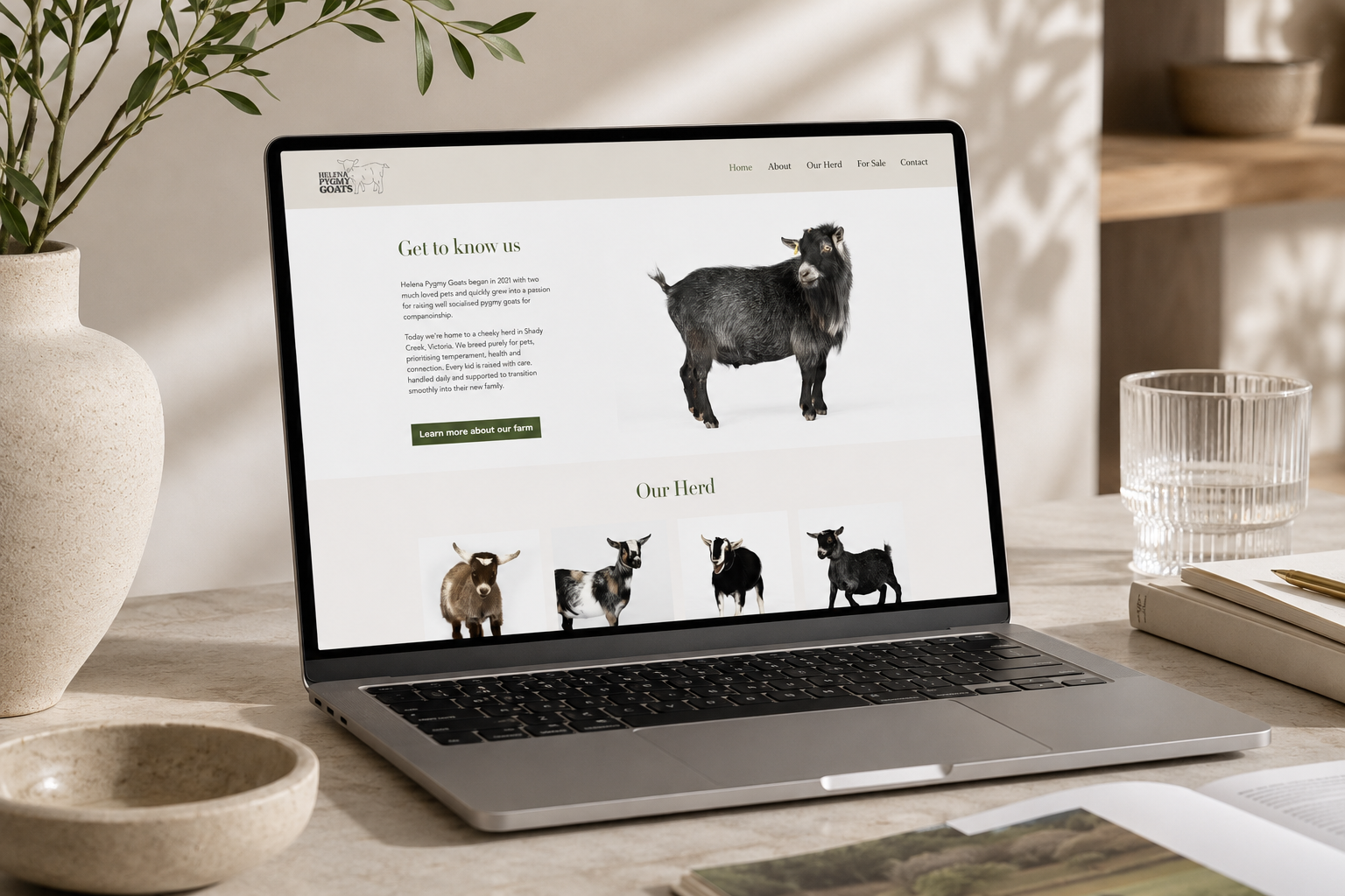 Helena Pygmy Goats website homepage on desktop. Awaiting final asset.