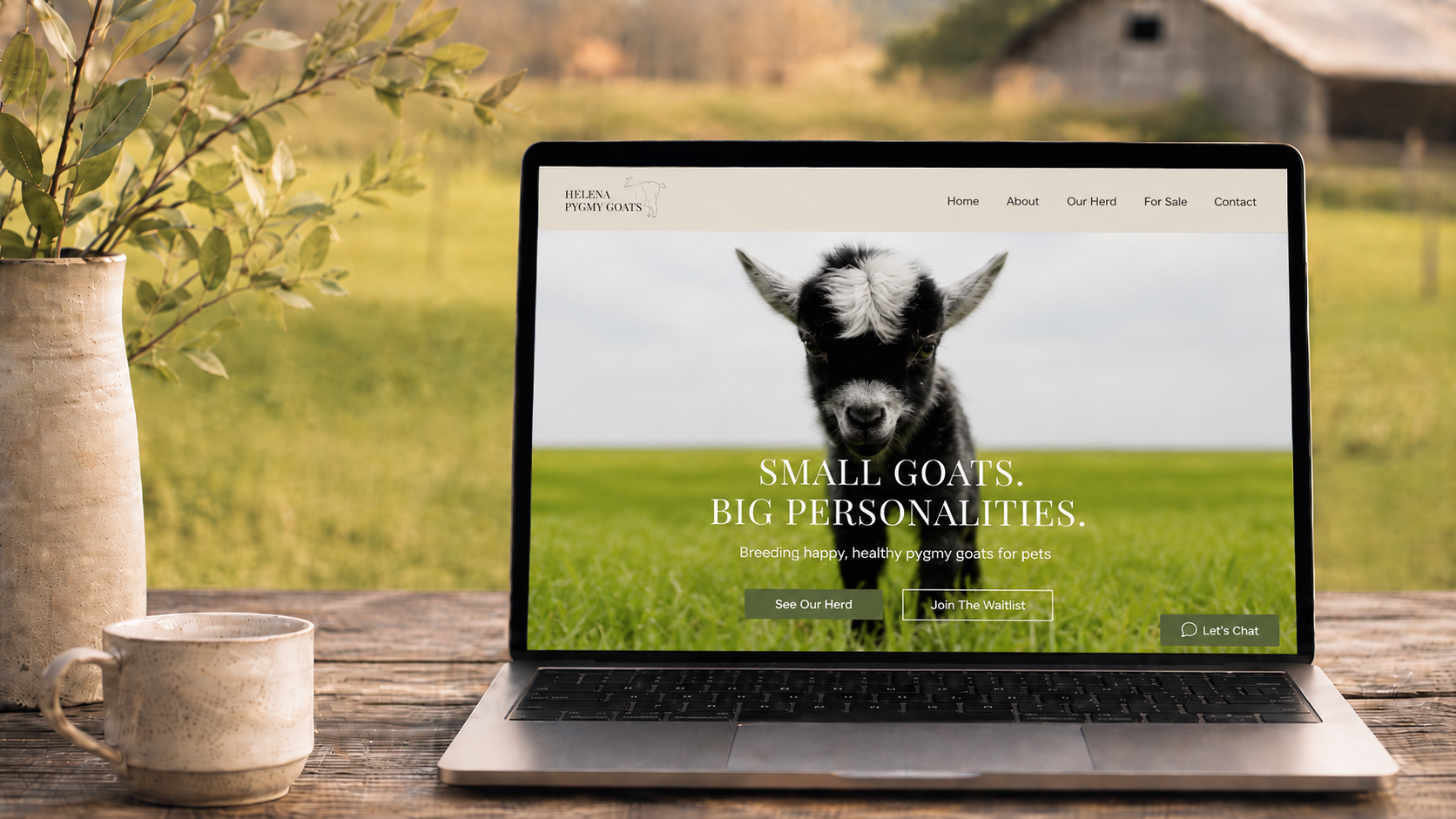 Helena Pygmy Goats brand and website project. Awaiting final asset.